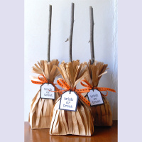 托雅口语加油站：你用纸袋还是塑料袋？