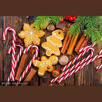 托雅口语加油站：老美们如何欢度美妙圣诞？