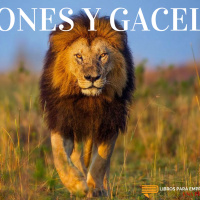 Leones y Gacelas