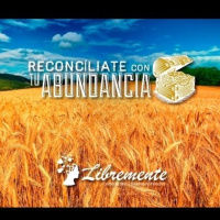 Reconcíliate con tu Abundancia - Programación para la Abundancia