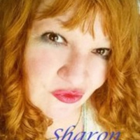 The stalker between worlds ghost hunting theories by sharon day podcast