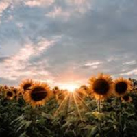 Whispers From August