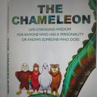 THE STORM OF STORMS FROM THE BOOK CHAMELEON BY MERRICK ROSENBERG 