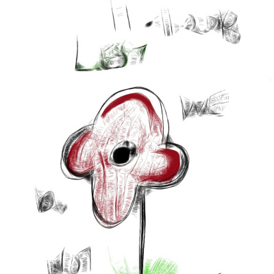 Holsworthy Mark Show