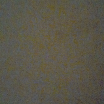 Holsworthy Mark Show