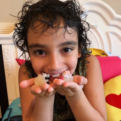 Holsworthy Mark Show