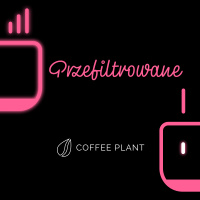 #295 – Zawsze chodzi o to, co nam smakuje #Przefiltrowane