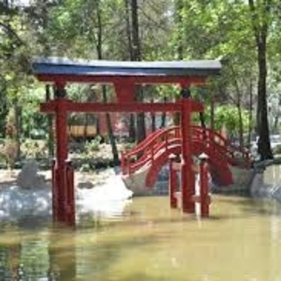 Kinoko Power -japón-