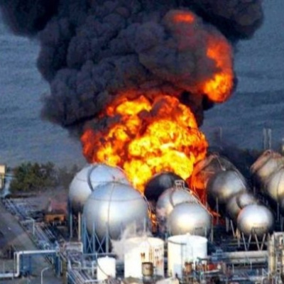 Kinoko Power -japón-