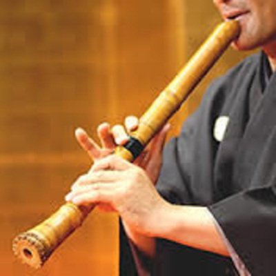 Kinoko Power -japón-