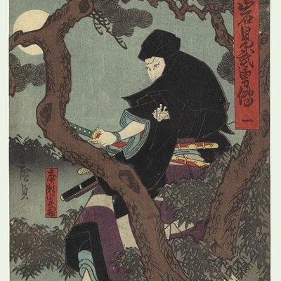 Kinoko Power -japón-