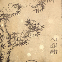 S5 Ep29: Loremen S5Ep29 - The Japanese Tree With A Human Face with Uncanny Japan