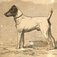 S1 Ep7: Loremen S1 Ep7 - Baa and The Wilnecker Paradox