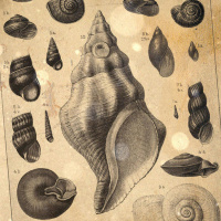 S3 Ep80: Loremen S3 Ep80 - 100th Episode (Pt. 2) The Margate Shell Grotto and the Ornamental Hermits 