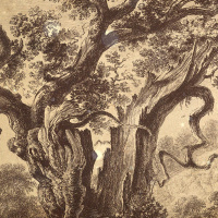 S2 Ep9: Loremen S2 Ep9 - Jenny Collier - Santes Dwynwen and Gelert