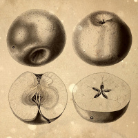 Loremen S6Ep36 - The Little Man in the Red Cap