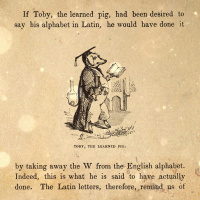 S5 Ep18: Loremen S5Ep18 - Toby the Sapient Pig