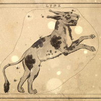 S5 Ep25: Loremen S5Ep25 - The Beast of Belper and the Surrey Puma with Long Cat Media