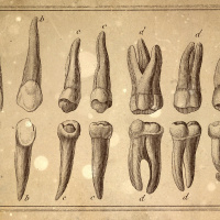 Loremen S6Ep43 - The Penzance Poisoner 