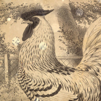 S4 Ep38: Loremen S4 Ep38 - Brighton vs Chickens