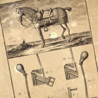 S4 Ep3: Loremen S4 Ep3 - Lower Swell