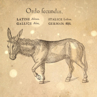 Loremen S5Ep41 - Ghosts of Gallipoli