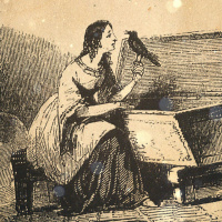 S3 Ep8: Loremen S3 Ep8 - Valentines Special - Jenny Collier with The Mabinogion