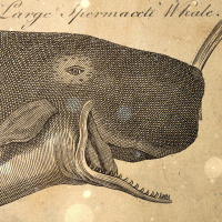 S2 Ep7: Loremen S2 Ep7 - The Witches of Caithness and Costwolds Dogs