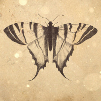 S3 Ep98: Loremen S3 Ep98 - The Curse of the Silk Shoes