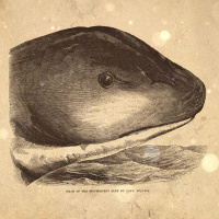 S5 Ep26: Loremen S5Ep26 - Huntigowk Day and the Loch Ness Hoax