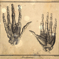 S3 Ep83: Loremen S3 Ep83 - The Bleeding House