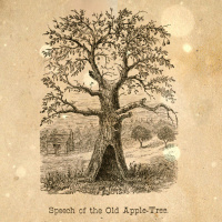 S4 Ep48: Loremen S4Ep48 - Cornwalls Loneliest Vicar