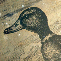 Loremen Trailer - Ghost Duck