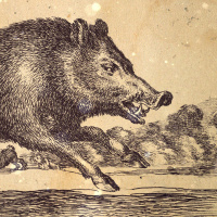 S3 Ep16: Loremen S3 Ep16 - Chris Cantrill - The Bradford Boar