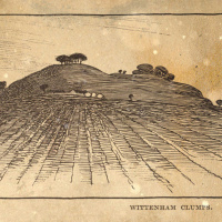 S3 Ep89: Loremen S3 Ep89 - The Wittenham Clumps