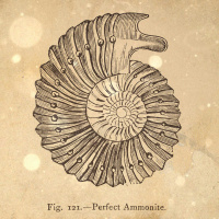 S5 Ep19: Loremen S5Ep19 - The Hanging Judge of Lyme Regis