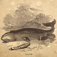 S3 Ep41: Loremen S3 Ep41 - The Boscombe Whale