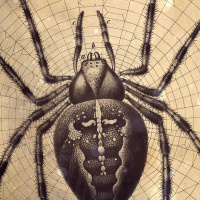 S2 Ep12: Loremen S2 Ep12 - Athena Kugblenu - Anansi the Spider and The Longridge Boggart