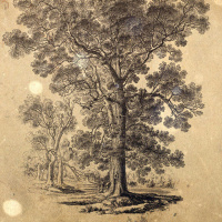 S3 Ep104: Loremen S3 Ep104 - The Legend of Mauds Elm, Cheltenham