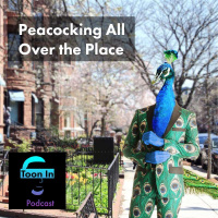 Peacocking All Over the Place - Toon In #124