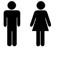 Roles of men and women in the bible