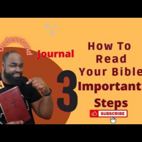 How To Read Your Bible