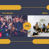 Week 1 Singleness The World Vs The Bible