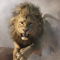 MAINE MILLA $YUNG ZO $OG HOMICIDE KING NAEGA Freestyle