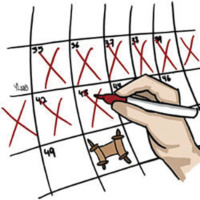 Sefirat Ha-Omer: Counting From  Counting To