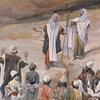 Parashat Yitro - Yitros Advice