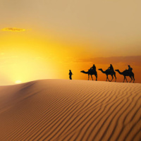 Lekh Lekha: Avrahams Great Name