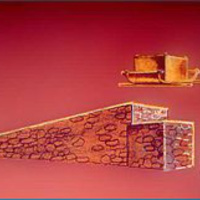 Terumah: Redirection