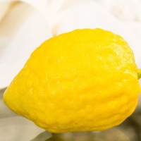 Arbaat Ha-Minim - Using a Pitam-less Etrog After Yom Tov