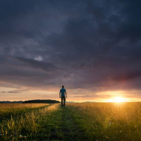 Hayei Sarah: Noticing Others